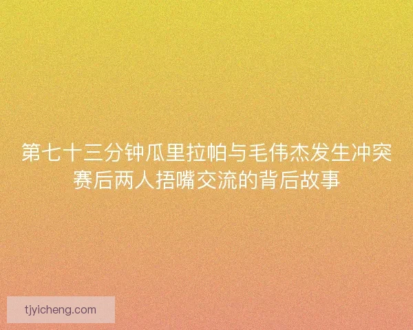 第七十三分钟瓜里拉帕与毛伟杰发生冲突赛后两人捂嘴交流的背后故事